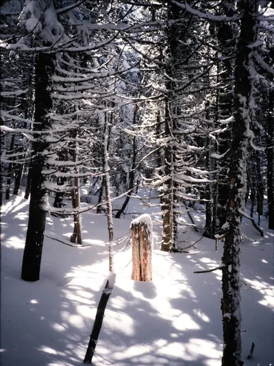 Prezi Traverse W/Fritz Mar 95