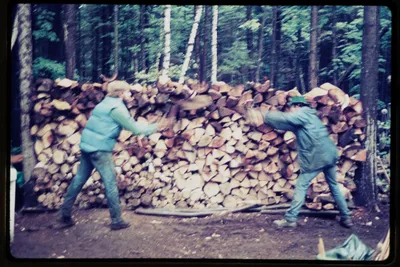 Logging at the Lodge Sep 75